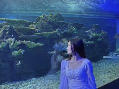 -江和美海洋公园