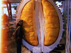 -都念榴莲·城市榴莲