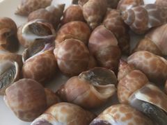 -威珀斯酒店·珀萃美食餐厅 | 海鲜刺身·现烤生蚝·特色烤肉