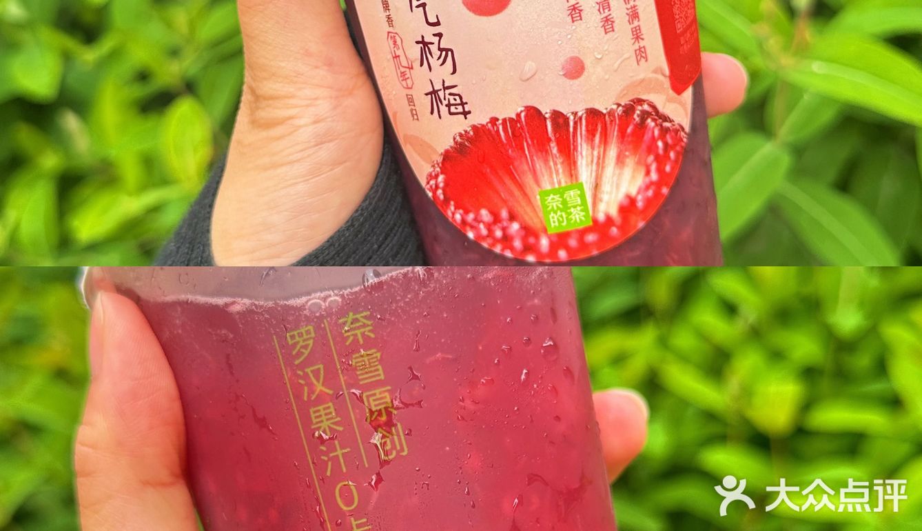 杨梅自由的一天～🌟