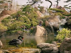 -罗红摄影艺术馆