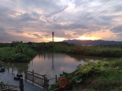 -江门古劳水乡旅游区