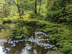 -三千院