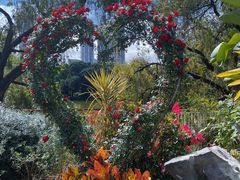 -人民公园(罗湖区)