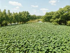 -北京麋鹿生态实验中心