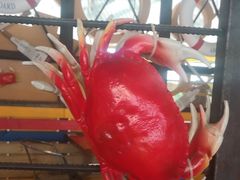 -胖哥俩肉蟹煲(来福士店)