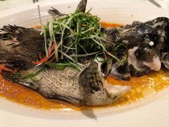 -南海渔村(珠江新城店)