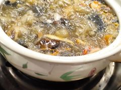 -杨记山珍鸡煲菌汤锅