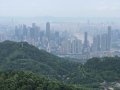 -大金鹰园