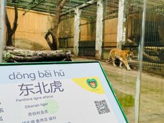 -柳州市动物园
