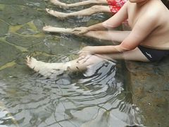 -龙达温泉生态城