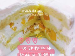 -山与蓝·轻糖鲜果蛋糕(勒泰店)