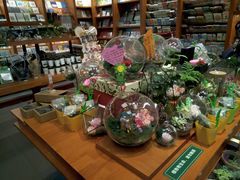 -矢量咖啡(万象汇店)