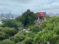 -黄鹤楼公园(黄鹤楼)