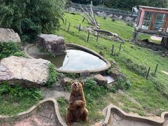 -无锡动物园·太湖欢乐园