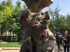 -石家庄市植物园
