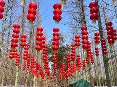 -东平国家森林公园