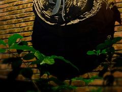-天水蔬食料理(树德之光店)