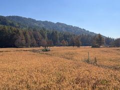 -塔川景区