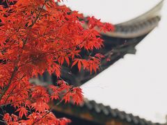 -台州府城(东湖)