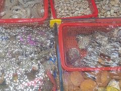 -船奇蒸汽海鲜·闽菜(八市海鲜总店)