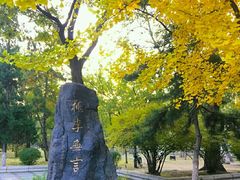 -辽宁大学(崇山校区)
