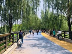 -郑东新区湿地公园