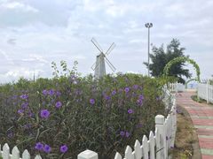 -玫瑰海岸文化旅游度假区