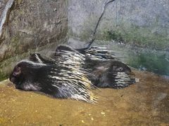 -青青世界