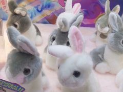 -嗨翻Hi-Fun竞技主题乐园·蹦床亲子生日轰趴(国光1937店)