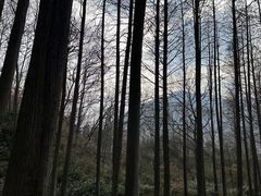 -波尔登森林公园