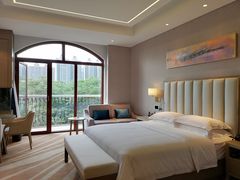 -圣爵菲斯大酒店(长沙世界之窗店)