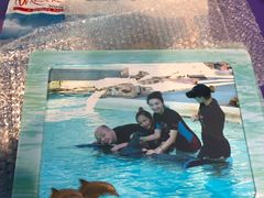 -新加坡水上探险乐园