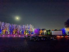 -枫花园汽车电影院(朝阳公园店)