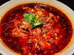 -眉州东坡(团结湖店)
