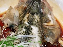 -紫光园·烤鸭·北京菜(劲松店)