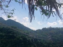 -千岛湖石林