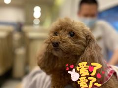 -新富特功夫足疗(华都园大厦店)
