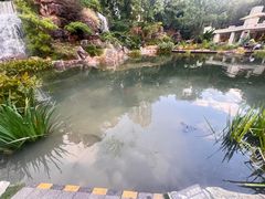 -靖西鹅泉风景区