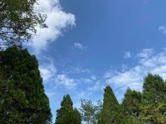-照金香山旅游景区