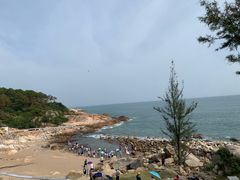 -广东惠东海龟国家级自然保护区