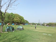 -昆山城市生态森林公园