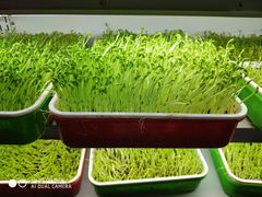 -番食园鲜食火锅(高新店)