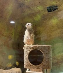 -酷嗒动物文化乐园(cutezoo西溪乐天城店)