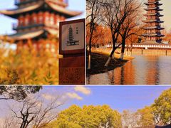 -上海方塔园