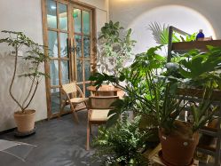 -芳香乐府疗愈空间·SPA·冥想