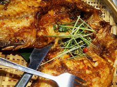 -云海肴云南菜·蒸汽石锅鱼(北京良乡华冠店)