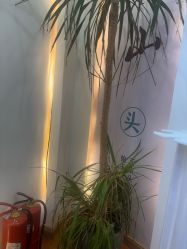 -梵茜儿·头道汤养生馆