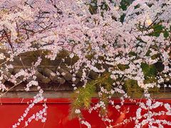 -西安市广仁寺