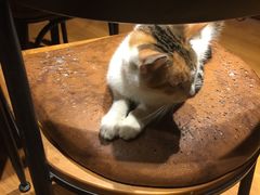 -密讯馆密室逃脱&换装侦探剧(环球港旗舰店)
